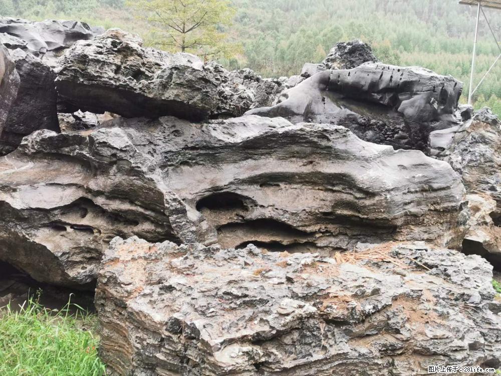 风景石、假山石大量有货，有需要的欢迎联系 - 新手上路 - 益阳生活社区 - 益阳28生活网 yiyang.28life.net