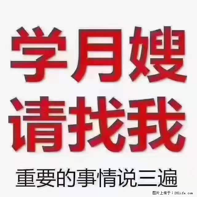 为什么要学习月嫂，育婴师？ - 其他广告 - 广告专区 - 益阳分类信息 - 益阳28生活网 yiyang.28life.net