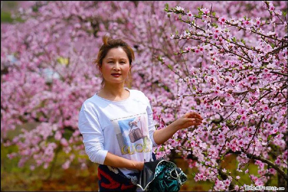 【春天，广西桂林灌阳县向您发出邀请！】官庄村有个醉美的桃花园 - 游山玩水 - 益阳生活社区 - 益阳28生活网 yiyang.28life.net
