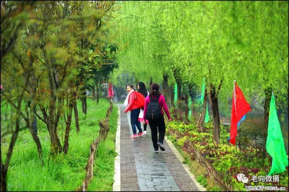 【春天，广西桂林灌阳县向您发出邀请！】江口老街又逢春 - 游山玩水 - 益阳生活社区 - 益阳28生活网 yiyang.28life.net