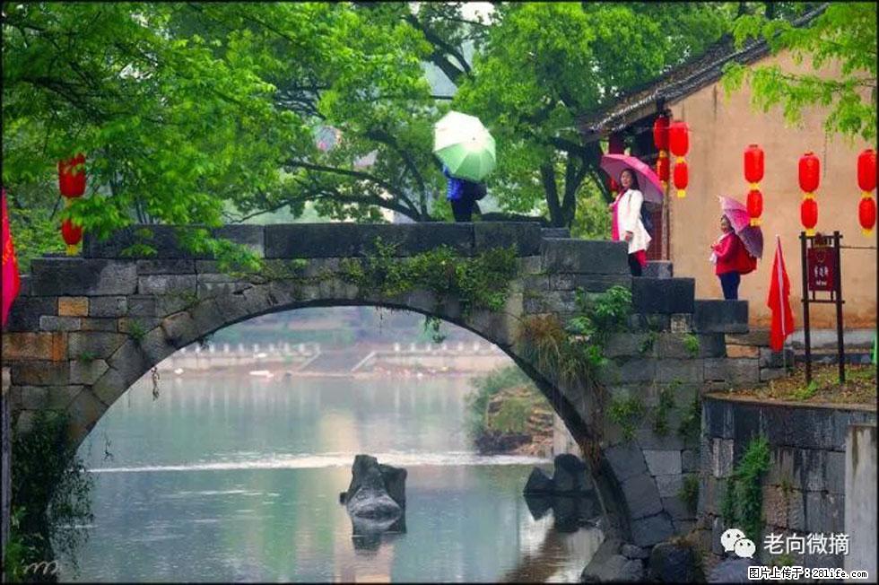 【春天，广西桂林灌阳县向您发出邀请！】江口老街又逢春 - 游山玩水 - 益阳生活社区 - 益阳28生活网 yiyang.28life.net