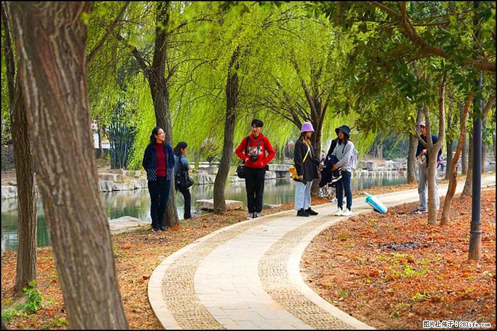 【春天，广西桂林灌阳县向您发出邀请！】江口老街又逢春 - 游山玩水 - 益阳生活社区 - 益阳28生活网 yiyang.28life.net
