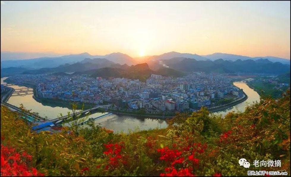 【春天，广西桂林灌阳县向您发出邀请！】登麒麟山，相约映山红 - 游山玩水 - 益阳生活社区 - 益阳28生活网 yiyang.28life.net