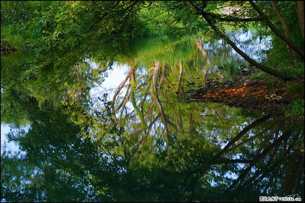 【春天，广西桂林灌阳县向您发出邀请！】熊家寨湿地公园 - 游山玩水 - 益阳生活社区 - 益阳28生活网 yiyang.28life.net