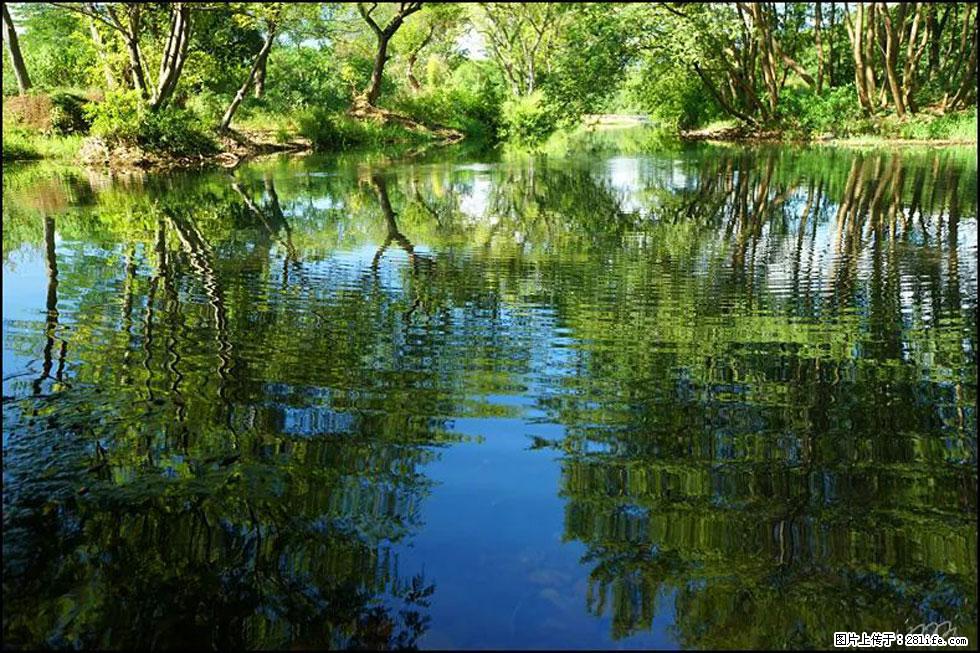 【春天，广西桂林灌阳县向您发出邀请！】熊家寨湿地公园 - 游山玩水 - 益阳生活社区 - 益阳28生活网 yiyang.28life.net