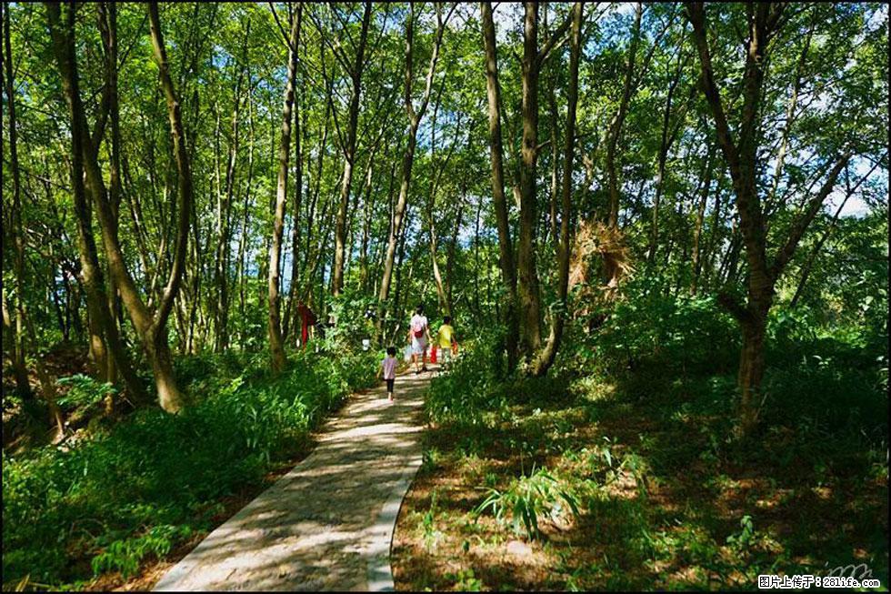 【春天，广西桂林灌阳县向您发出邀请！】熊家寨湿地公园 - 游山玩水 - 益阳生活社区 - 益阳28生活网 yiyang.28life.net