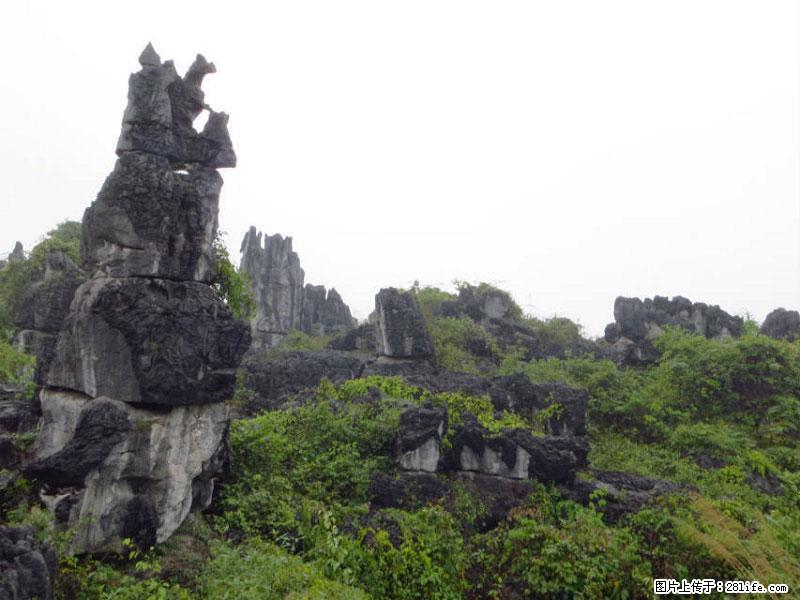 桂林旅游名城景点：灌阳文市石林 - 游山玩水 - 益阳生活社区 - 益阳28生活网 yiyang.28life.net