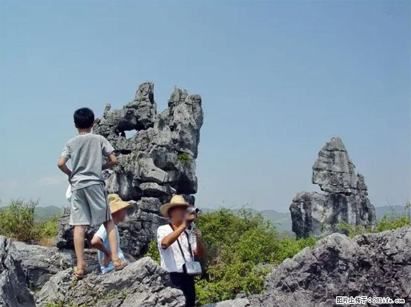 桂林旅游名城景点：灌阳文市石林 - 游山玩水 - 益阳生活社区 - 益阳28生活网 yiyang.28life.net