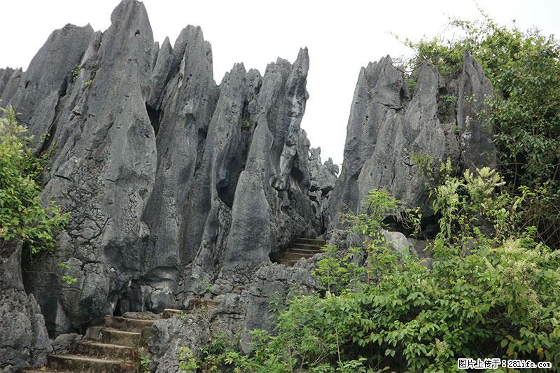 桂林旅游名城景点：灌阳文市石林 - 游山玩水 - 益阳生活社区 - 益阳28生活网 yiyang.28life.net