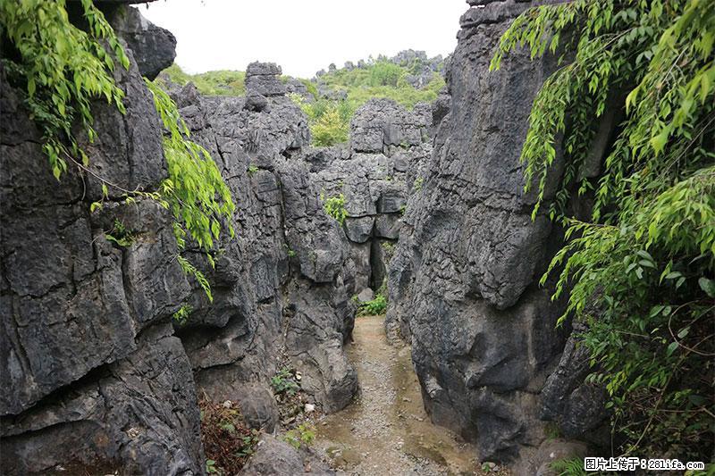 桂林旅游名城景点：灌阳文市石林 - 游山玩水 - 益阳生活社区 - 益阳28生活网 yiyang.28life.net
