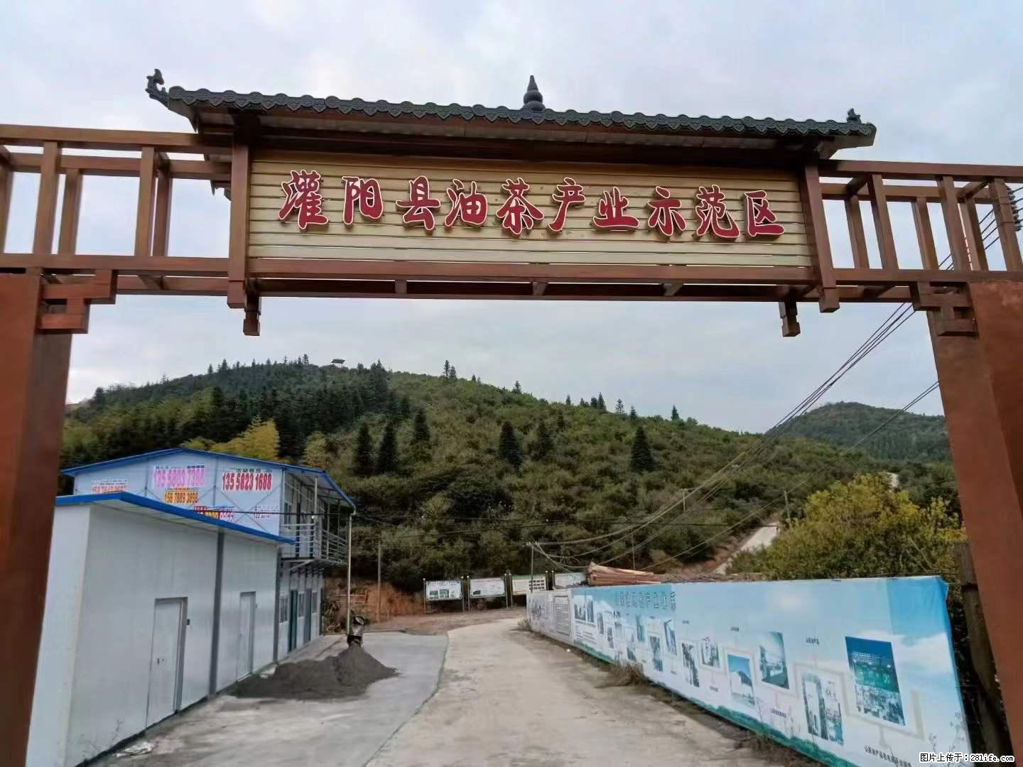 【灌阳县油茶产业示范区】一个有着充实的精神生活的人，对待身外之物自会有一种淡泊的态度 - 美食天地 - 益阳生活社区 - 益阳28生活网 yiyang.28life.net