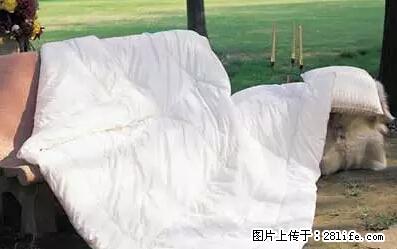 被子有异味？只要这样做，比晒太阳还强100倍！ - 家居生活 - 益阳生活社区 - 益阳28生活网 yiyang.28life.net