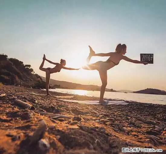 辞掉工作周游世界？现在他们在洗厕所…… - 游山玩水 - 益阳生活社区 - 益阳28生活网 yiyang.28life.net