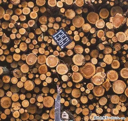 辞掉工作周游世界？现在他们在洗厕所…… - 游山玩水 - 益阳生活社区 - 益阳28生活网 yiyang.28life.net