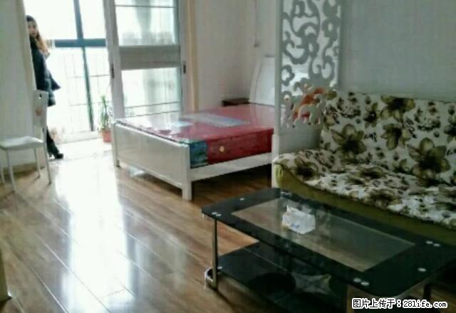 益阳大道世纪嘉苑 1室1厅 拎包入住 家电齐全 - 房屋出租 - 房屋租售 - 益阳分类信息 - 益阳28生活网 yiyang.28life.net