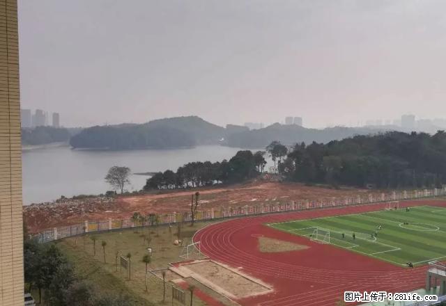 佳宁娜精装四房出租2500元每月 可拎包入住 - 房屋出租 - 房屋租售 - 益阳分类信息 - 益阳28生活网 yiyang.28life.net