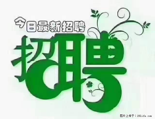 【招聘】产康师 - 职场交流 - 益阳生活社区 - 益阳28生活网 yiyang.28life.net
