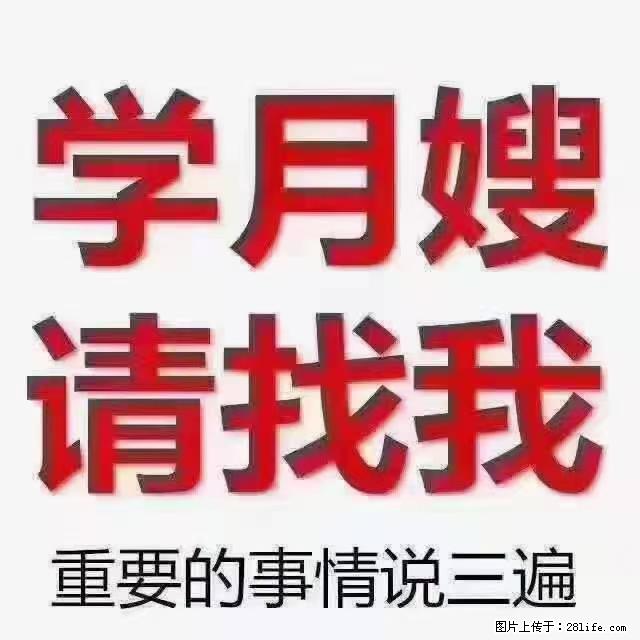 【招聘】月嫂，上海徐汇区 - 职场交流 - 益阳生活社区 - 益阳28生活网 yiyang.28life.net