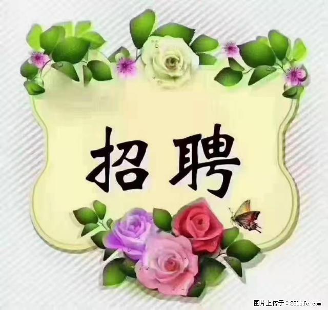 【招聘】住家育儿嫂，上户日期：4月4日，工作地址：上海 黄浦区 - 职场交流 - 益阳生活社区 - 益阳28生活网 yiyang.28life.net