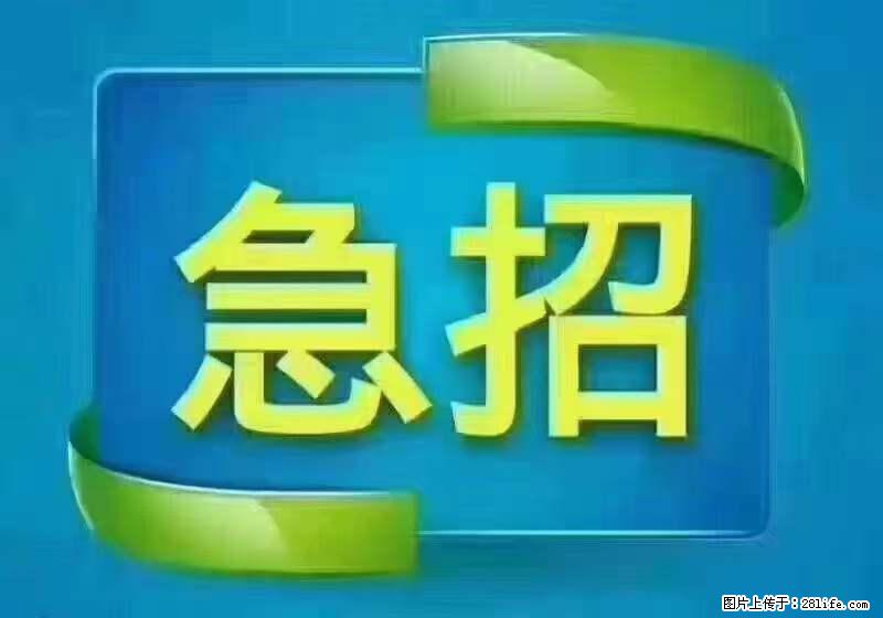 招出纳8000元/月，无证可以，要有相关经验，上海五险一金，包住，包工作餐，做六休一。 - 职场交流 - 益阳生活社区 - 益阳28生活网 yiyang.28life.net