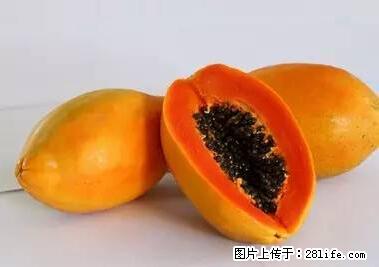 晕车、脚气、牙齿变黄、皮肤粗糙？学会这些三分钟搞定！ - 益阳生活资讯 - 益阳28生活网 yiyang.28life.net