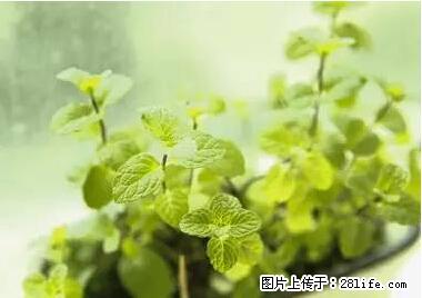 晕车、脚气、牙齿变黄、皮肤粗糙？学会这些三分钟搞定！ - 益阳生活资讯 - 益阳28生活网 yiyang.28life.net