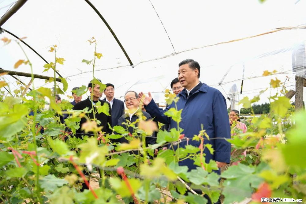 习近平赴广西考察调研 - 益阳生活资讯 - 益阳28生活网 yiyang.28life.net