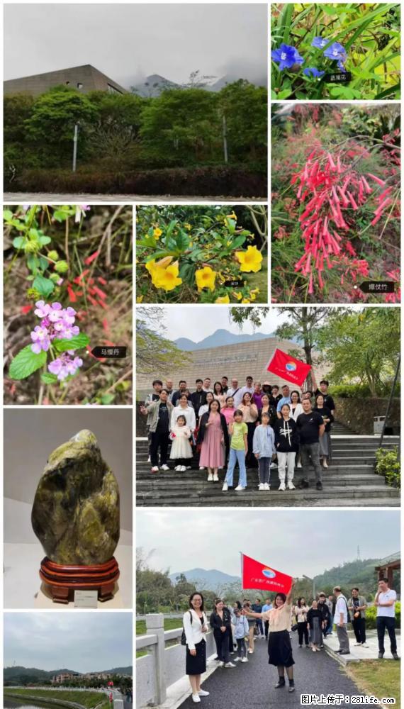“粤灌文化 美好生活”油茶文化主题活动在广东深圳成功举办 - 益阳生活资讯 - 益阳28生活网 yiyang.28life.net