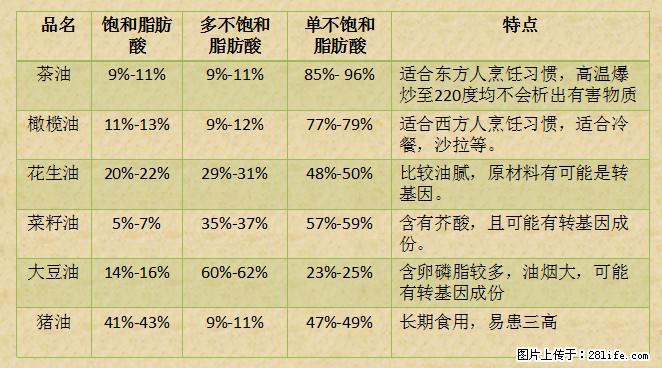 揭秘茶油的5大核心营养成分！被称为人体健康的“守护盾”！ - 益阳生活资讯 - 益阳28生活网 yiyang.28life.net
