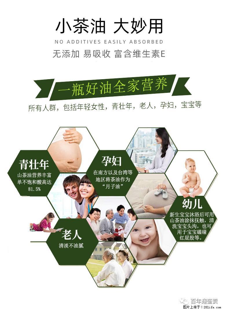 世界没有真相，只有认知，最好的食用油是中国的山茶油！ - 益阳生活资讯 - 益阳28生活网 yiyang.28life.net