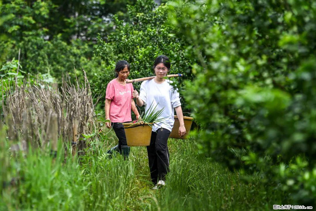 全网追的“扁担女孩”，找了一份暑假工，时薪12元 - 益阳生活资讯 - 益阳28生活网 yiyang.28life.net