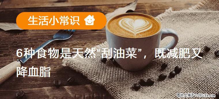 【生活小常识】6种食物是天然“刮油菜”，既减肥又降血脂 - 益阳生活资讯 - 益阳28生活网 yiyang.28life.net