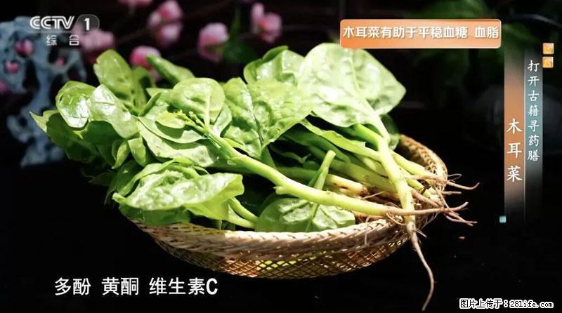 比牛奶补钙还厉害！凉血解毒、稳血糖...这菜冬天必吃，很多人却当草 - 益阳生活资讯 - 益阳28生活网 yiyang.28life.net