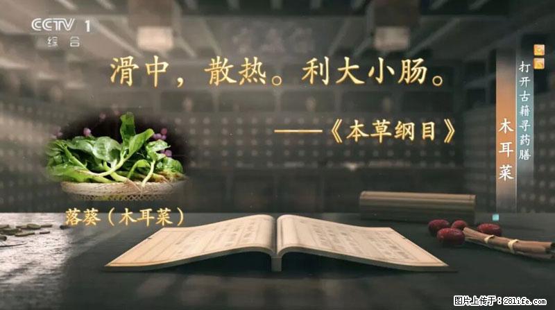 比牛奶补钙还厉害！凉血解毒、稳血糖...这菜冬天必吃，很多人却当草 - 益阳生活资讯 - 益阳28生活网 yiyang.28life.net