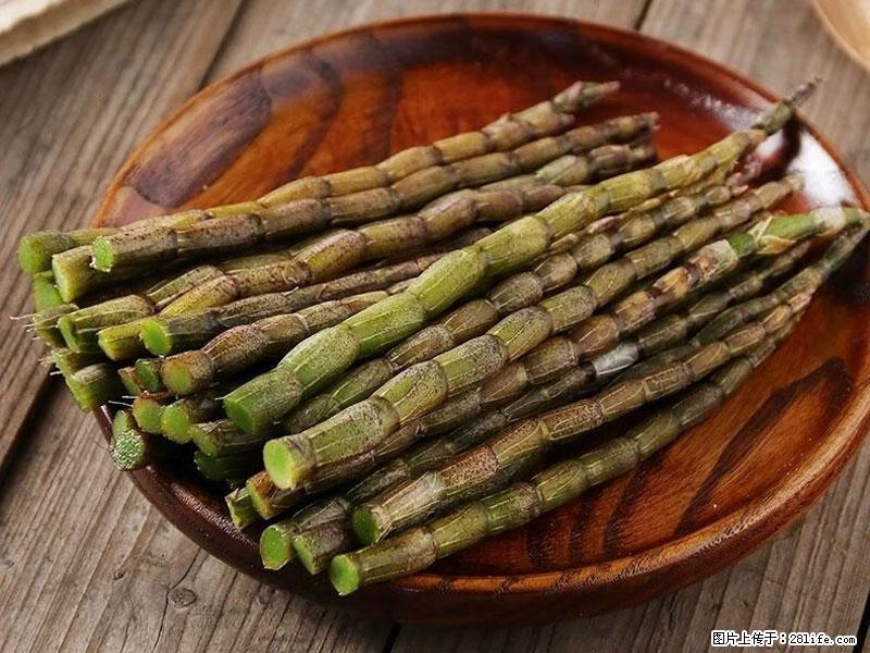 铁皮石斛的作用与功能主治 - 益阳生活资讯 - 益阳28生活网 yiyang.28life.net