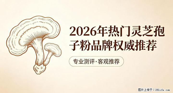 灵芝孢子粉含量越高越有效？2026 年七款热门品牌深度实测，肠胃敏感者避坑指南 - 益阳生活资讯 - 益阳28生活网 yiyang.28life.net